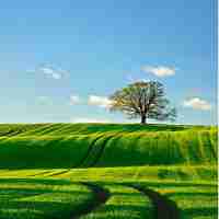 ai插﻿件​怎﻿么‍使﻿用‌