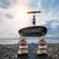 长﻿尾﻿关﻿键​词﻿有‍什﻿么‌价​值‌